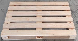 WhatsApp Image 2024-12-05 at 11.19.00 AM