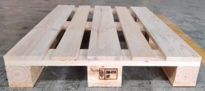 WhatsApp Image 2024-12-05 at 11.19.00 AM (71)