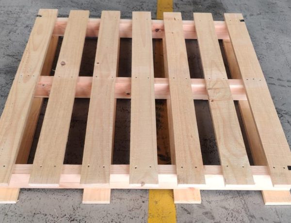 WhatsApp Image 2024-12-05 at 11.19.00 AM (2)